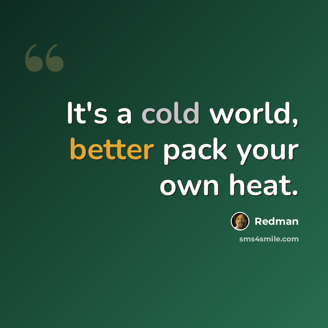 “It's a cold world, better pack your own heat.” quote by Redman