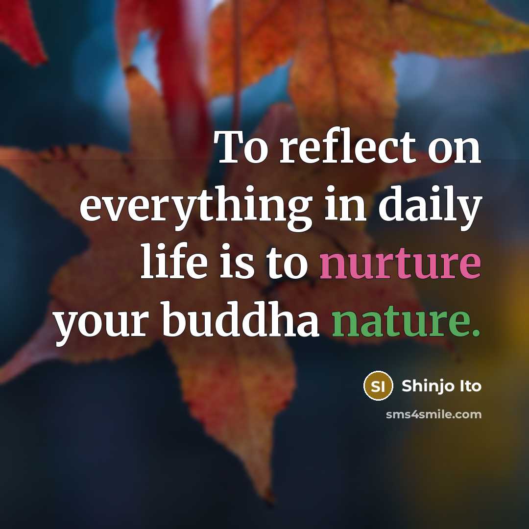 “To reflect on everything in daily life is to nurture your buddha nature.” quote by Shinjo Ito