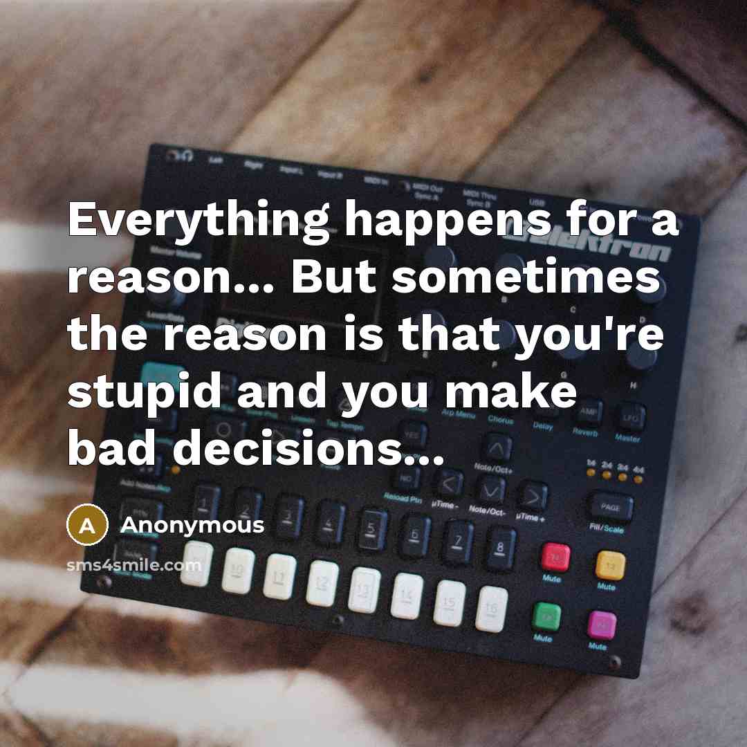 “Everything happens for a reason... But sometimes the reason is that you're stupid and you make bad decisions...” quote by Anonymous