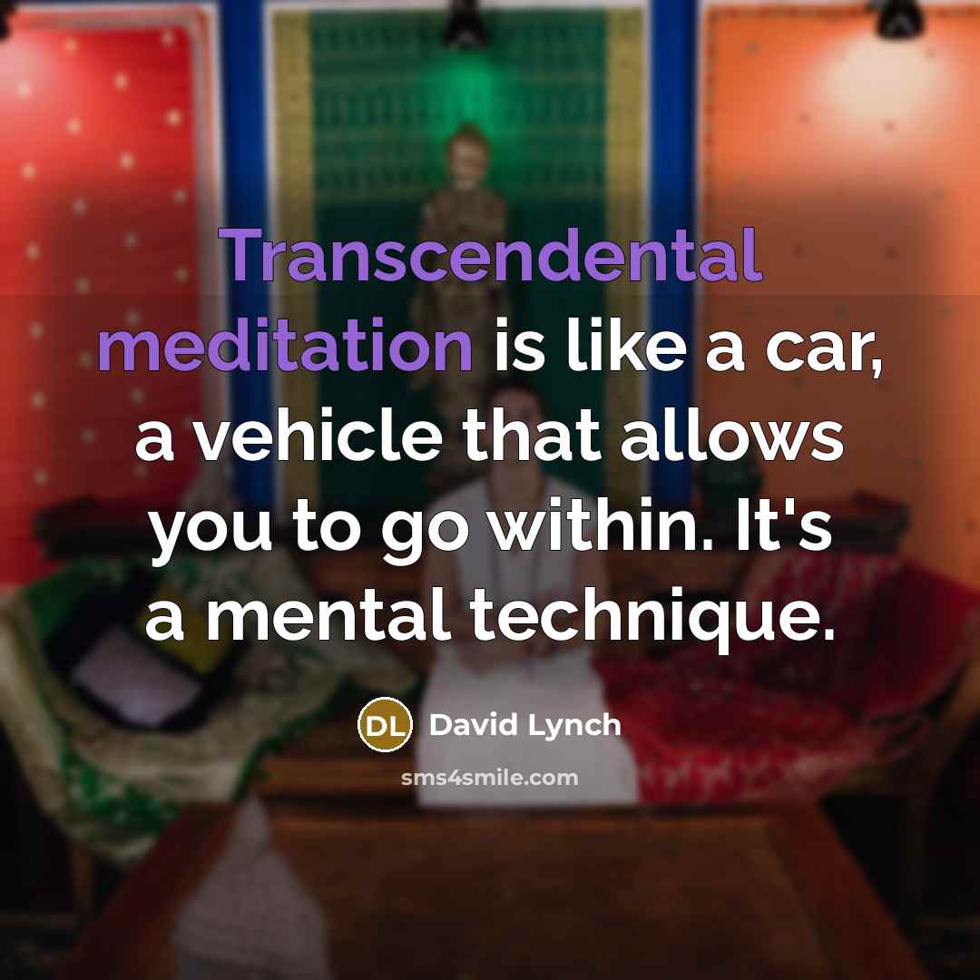 “Transcendental meditation is like a car, a vehicle that allows you to go within. It's a mental technique.” quote by David Lynch