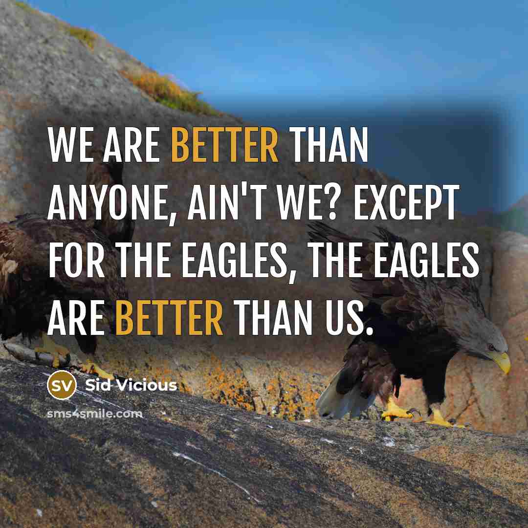 “We are better than anyone, ain't we? Except for the Eagles, the Eagles are better than us.” quote by Sid Vicious