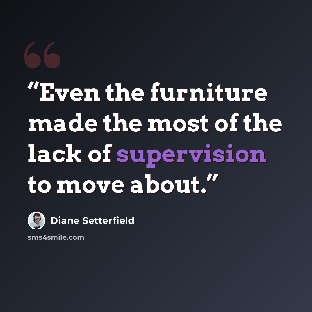 “Even the furniture made the most of the lack of supervision to move about.” quote by Diane Setterfield