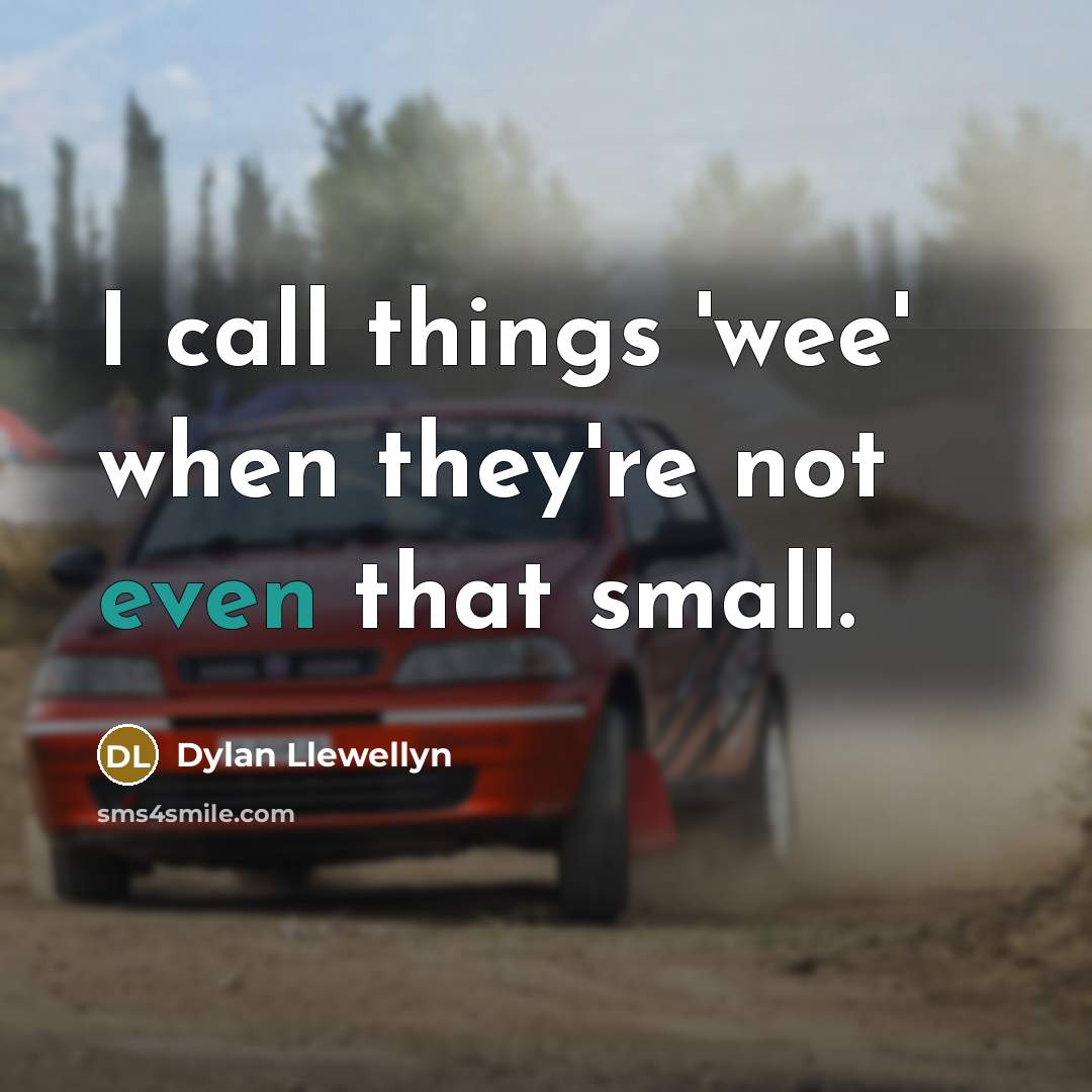 “I call things 'wee' when they're not even that small.” quote by Dylan Llewellyn