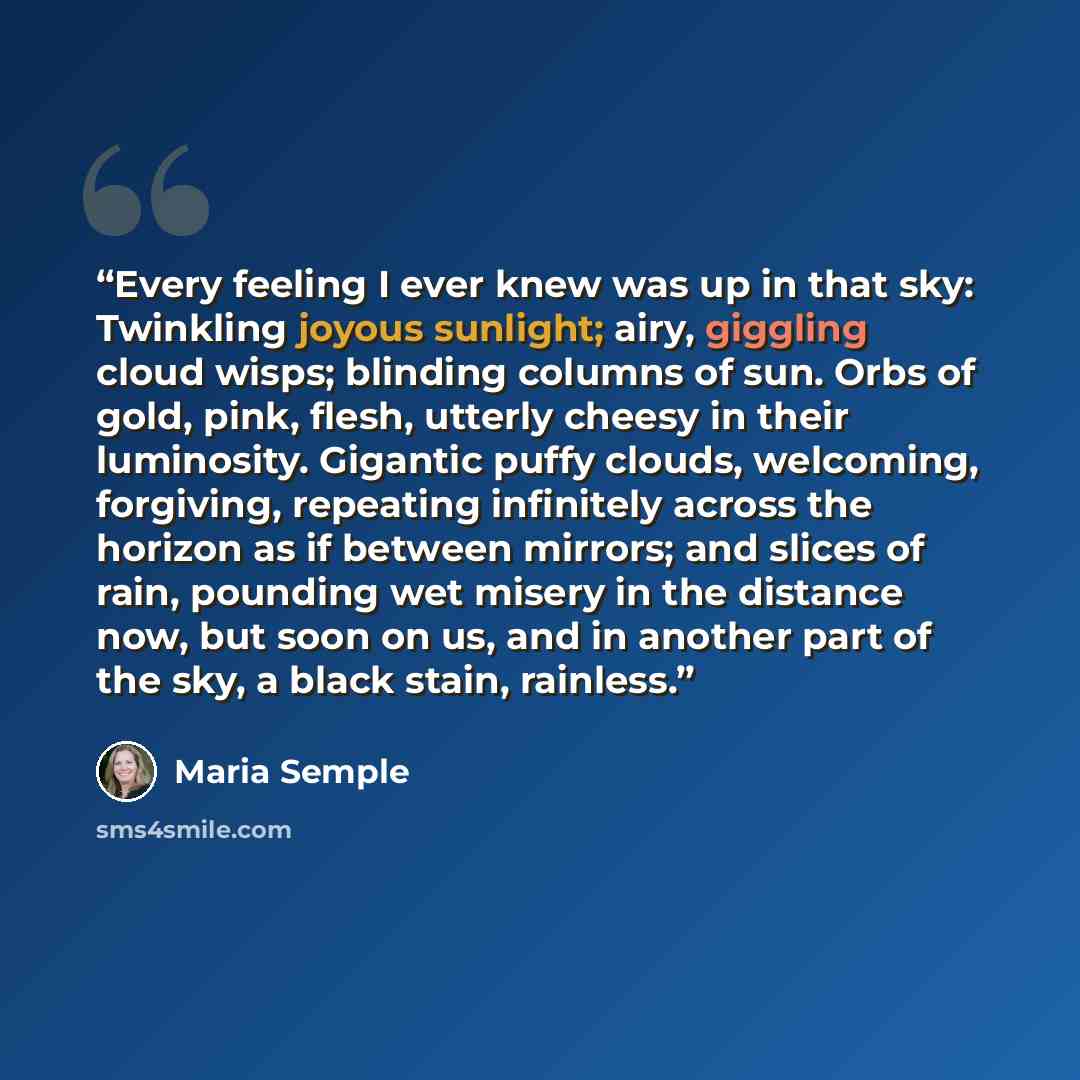 “Every feeling I ever knew was up in that sky: Twinkling joyous sunlight; airy, giggling cloud wisps; blinding columns of sun. Orbs of gold, pink, flesh, utterly cheesy in their luminosity. Gigantic puffy clouds, welcoming, forgiving, repeating infinitely across the horizon as if between mirrors…” quote by Maria Semple