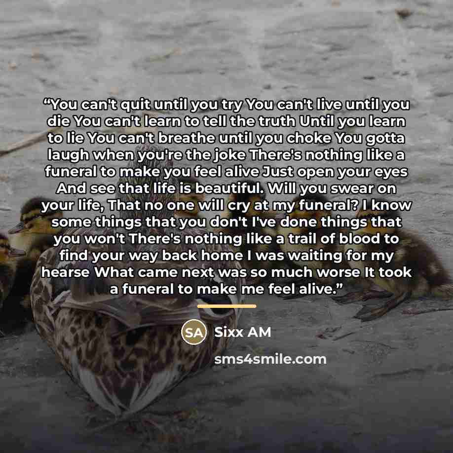 “You can't quit until you try You can't live until you die You can't learn to tell the truth Until you learn to lie You can't breathe until you choke You gotta laugh when you're the joke There's nothing like a funeral to make you feel alive Just open your eyes And see that life is beautiful. Will…” quote by Sixx AM