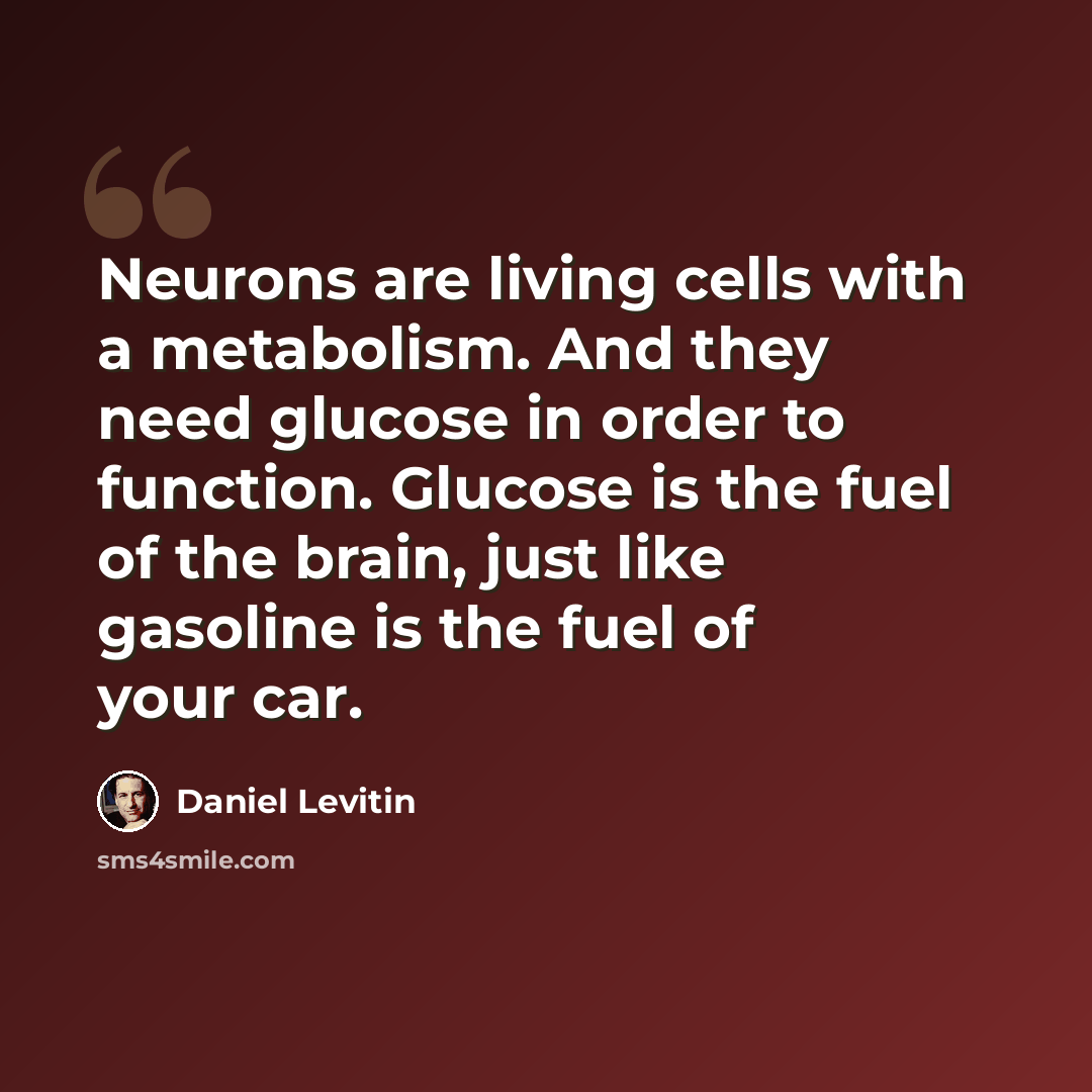 “Neurons are living cells with a metabolism. And they need glucose in order to function. Glucose is the fuel of the brain, just like gasoline is the fuel of your car.” quote by Daniel Levitin