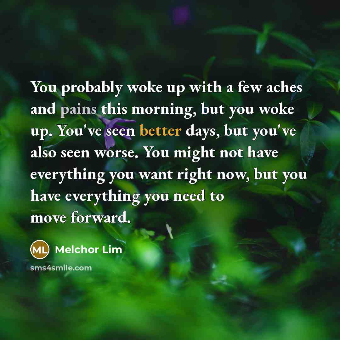 “You probably woke up with a few aches and pains this morning, but you woke up. You've seen better days, but you've also seen worse. You might not have everything you want right now, but you have everything you need to move forward.” quote by Melchor Lim