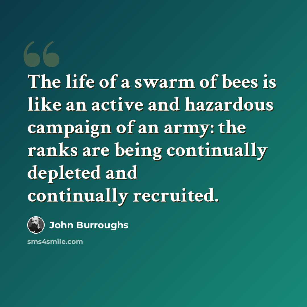 “The life of a swarm of bees is like an active and hazardous campaign of an army: the ranks are being continually depleted and continually recruited.” quote by John Burroughs