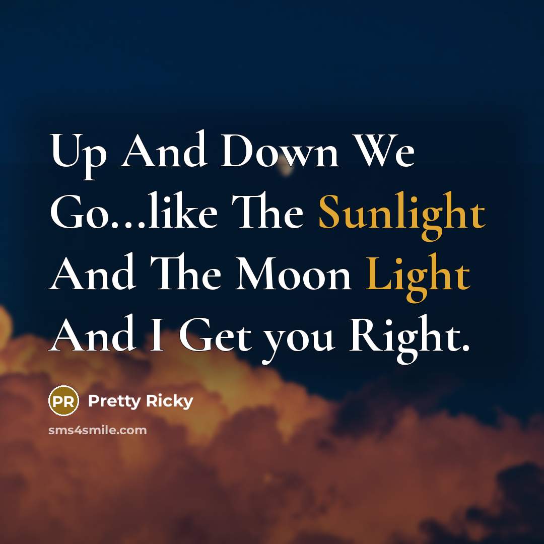 “Up And Down We Go...like The Sunlight And The Moon Light And I Get you Right.” quote by Pretty Ricky