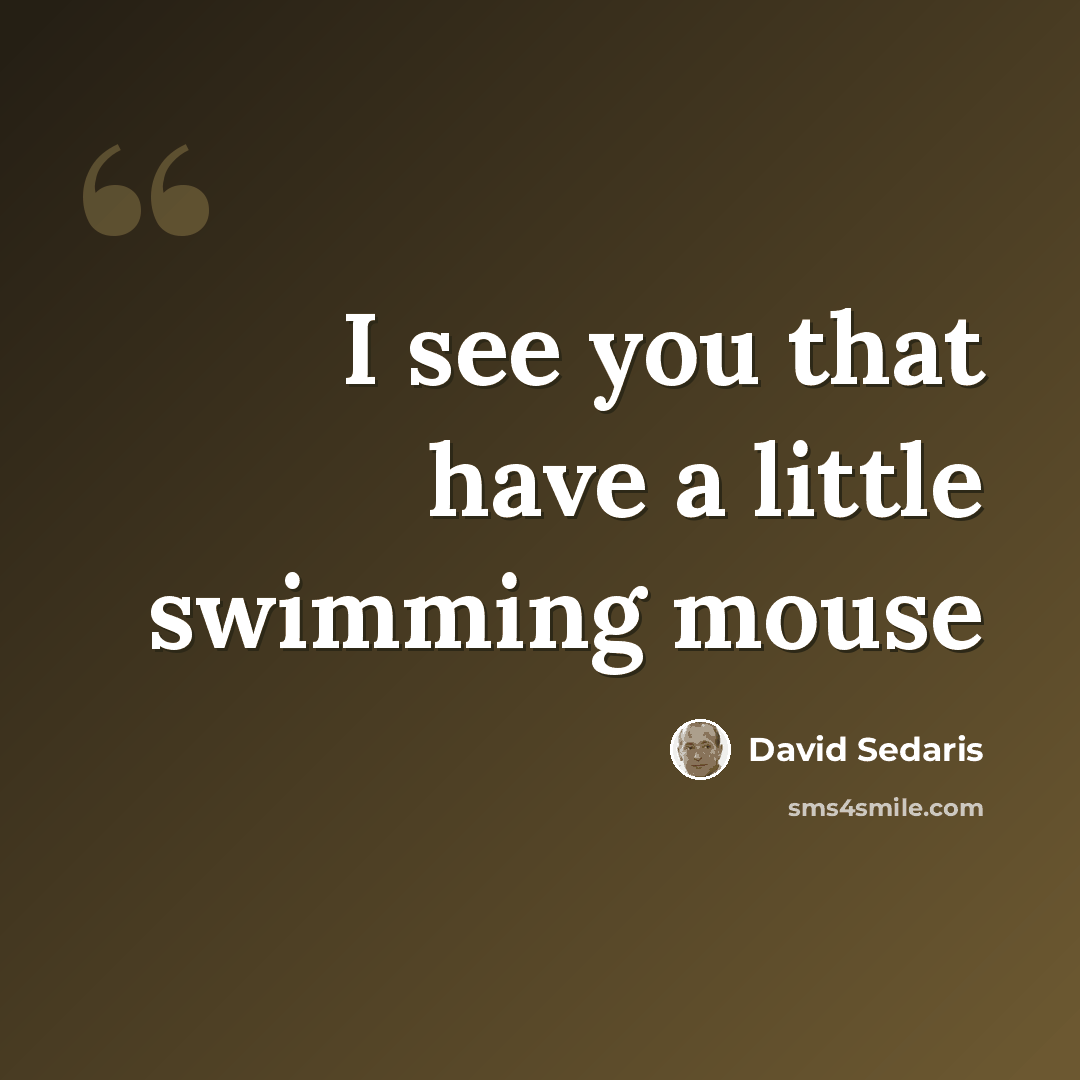 “I see you that have a little swimming mouse” quote by David Sedaris