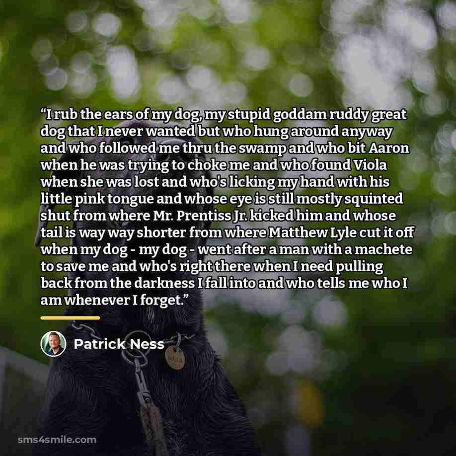 “I rub the ears of my dog, my stupid goddam ruddy great dog that I never wanted but who hung around anyway and who followed me thru the swamp and who bit Aaron when he was trying to choke me and who found Viola when she was lost and who's licking my hand with his little pink tongue and whose eye is…” quote by Patrick Ness