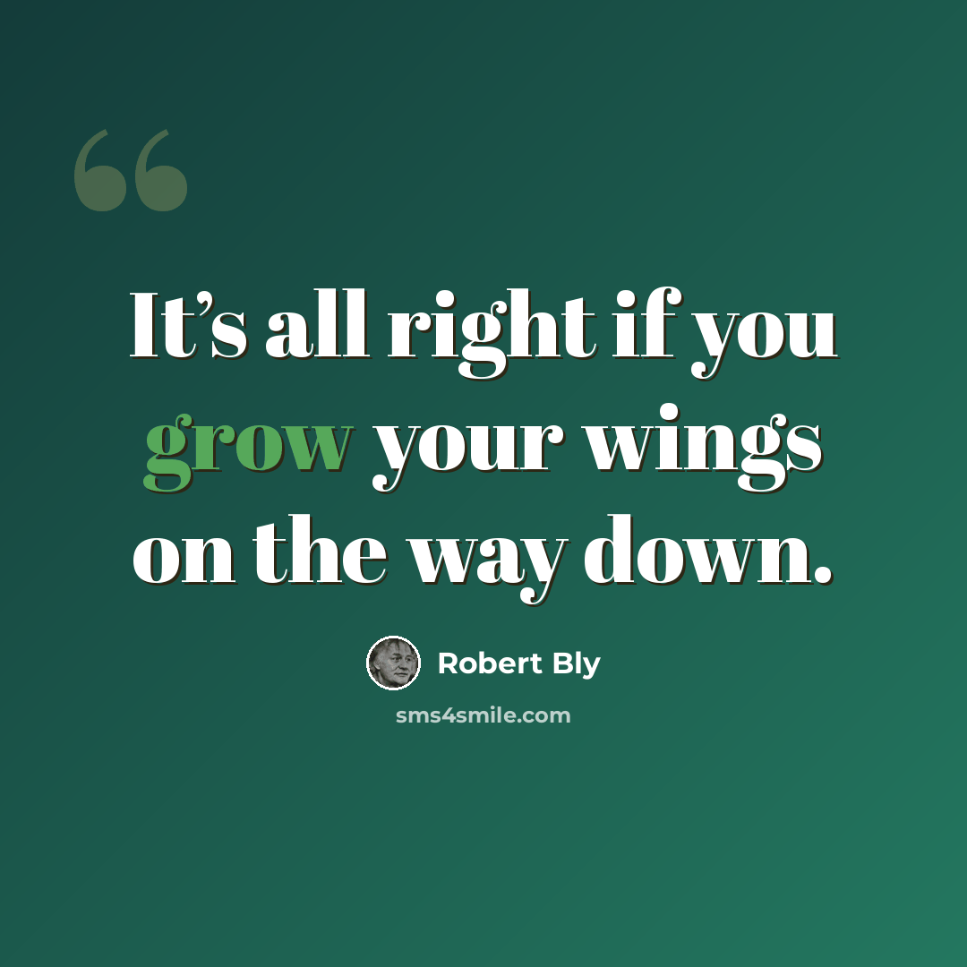 “It’s all right if you grow your wings on the way down.” quote by Robert Bly