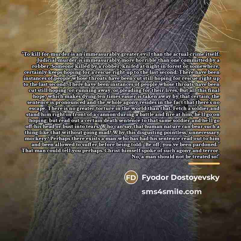 “To kill for murder is an immeasurably greater evil than the actual crime itself. Judicial murder is immeasurably more horrible than one committed by a robber. Someone killed by a robber, knifed at night in forest or somewhere, certainly keeps hoping for a rescue right up to the last second. There…” quote by Fyodor Dostoyevsky