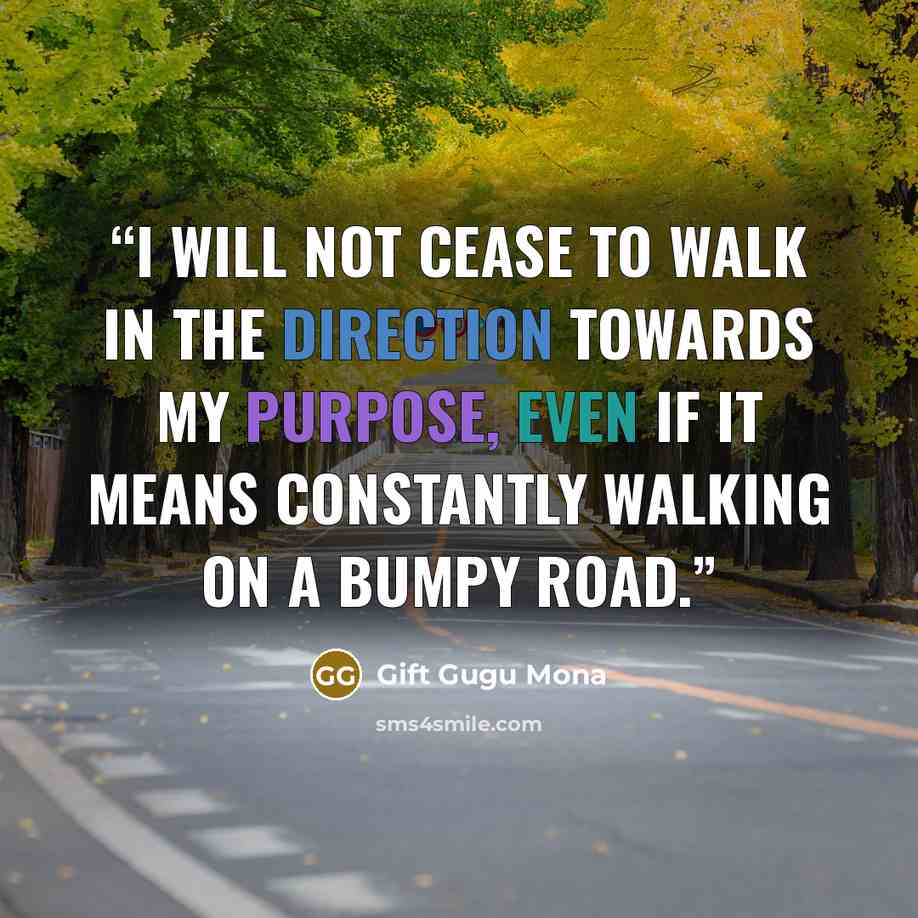 “I will not cease to walk in the direction towards my purpose, even if it means constantly walking on a bumpy road.” quote by Gift Gugu Mona