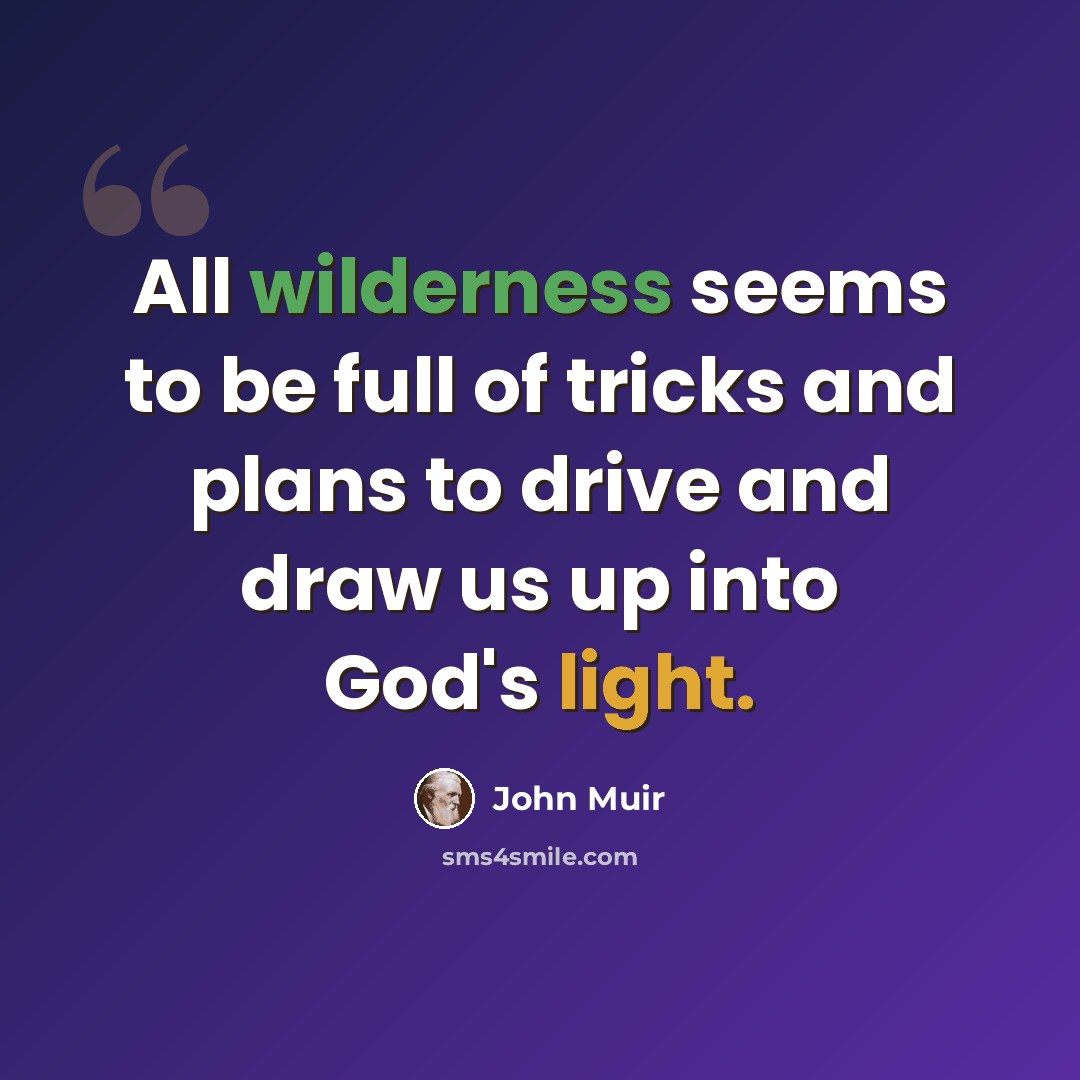 “All wilderness seems to be full of tricks and plans to drive and draw us up into God's light.” quote by John Muir
