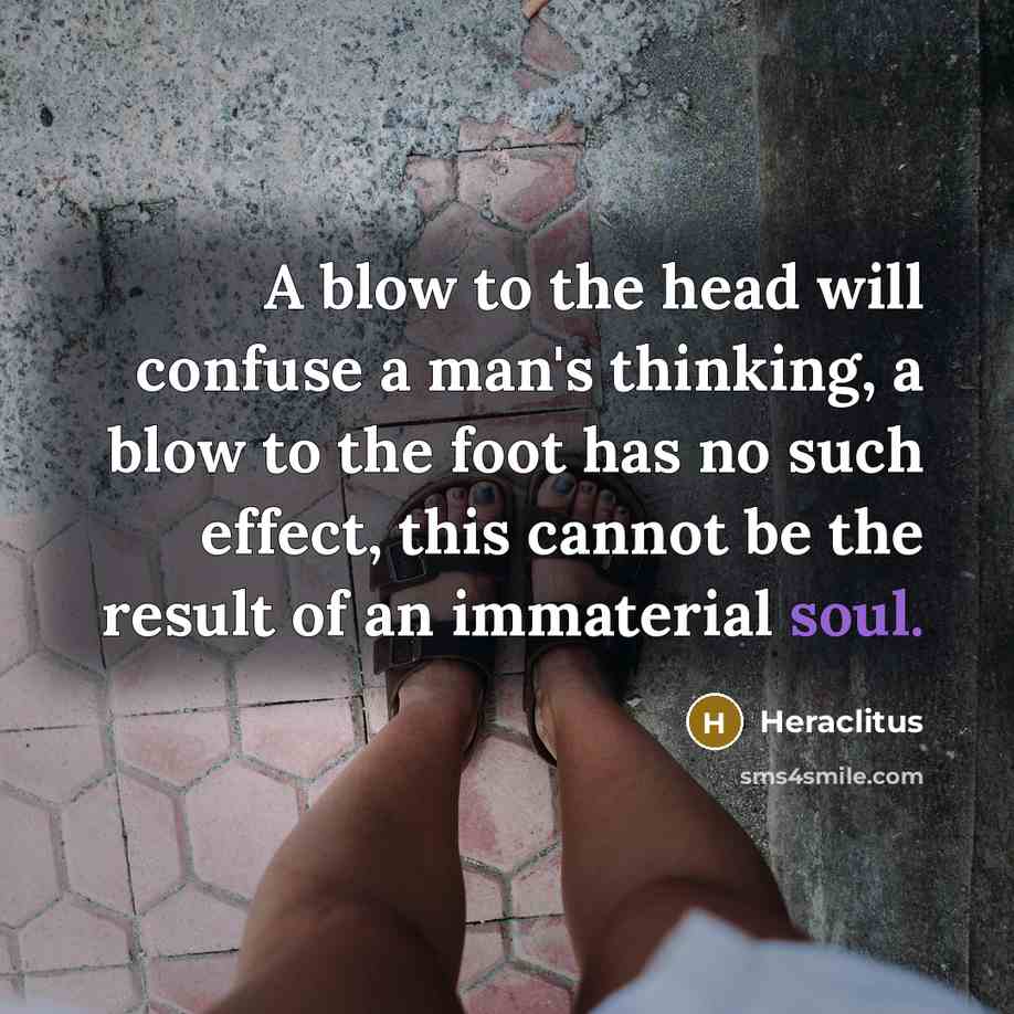 “A blow to the head will confuse a man's thinking, a blow to the foot has no such effect, this cannot be the result of an immaterial soul.” quote by Heraclitus