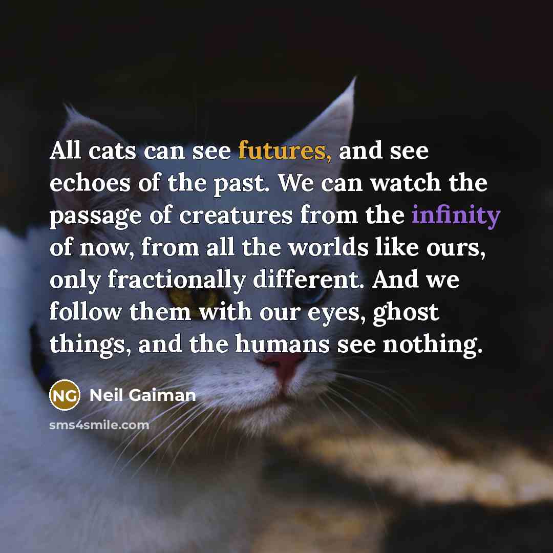 “All cats can see futures, and see echoes of the past. We can watch the passage of creatures from the infinity of now, from all the worlds like ours, only fractionally different. And we follow them with our eyes, ghost things, and the humans see nothing.” quote by Neil Gaiman