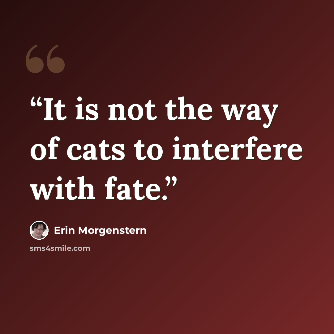 “It is not the way of cats to interfere with fate.” quote by Erin Morgenstern