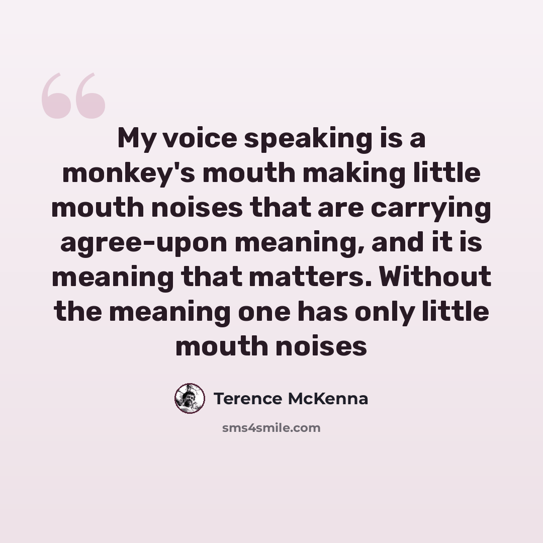 “My voice speaking is a monkey's mouth making little mouth noises that are carrying agree-upon meaning, and it is meaning that matters. Without the meaning one has only little mouth noises” quote by Terence McKenna