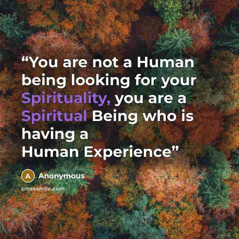 “You are not a Human being looking for your Spirituality, you are a Spiritual Being who is having a Human Experience” quote by Anonymous