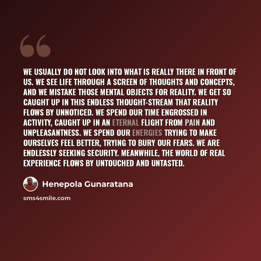 “We usually do not look into what is really there in front of us. We see life through a screen of thoughts and concepts, and we mistake those mental objects for reality. We get so caught up in this endless thought-stream that reality flows by unnoticed. We spend our time engrossed in activity…” quote by Henepola Gunaratana