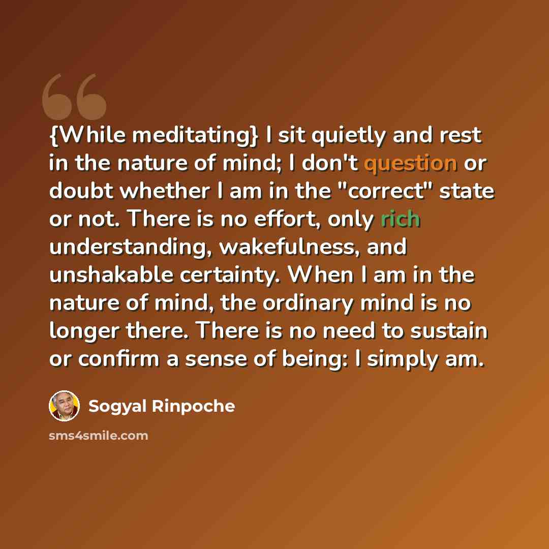 “{While meditating} I sit quietly and rest in the nature of mind; I don't question or doubt whether I am in the "correct" state or not. There is no effort, only rich understanding, wakefulness, and unshakable certainty. When I am in the nature of mind, the ordinary mind is no longer there. There is…” quote by Sogyal Rinpoche