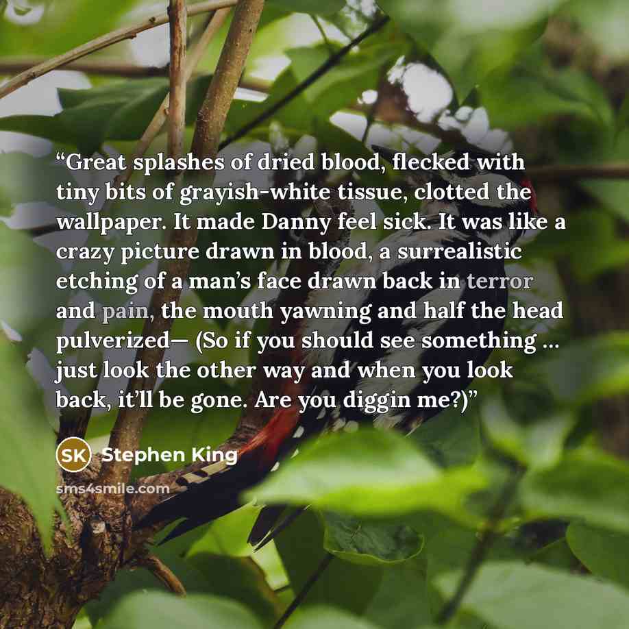 “Great splashes of dried blood, flecked with tiny bits of grayish-white tissue, clotted the wallpaper. It made Danny feel sick. It was like a crazy picture drawn in blood, a surrealistic etching of a man’s face drawn back in terror and pain, the mouth yawning and half the head pulverized— (So if…” quote by Stephen King
