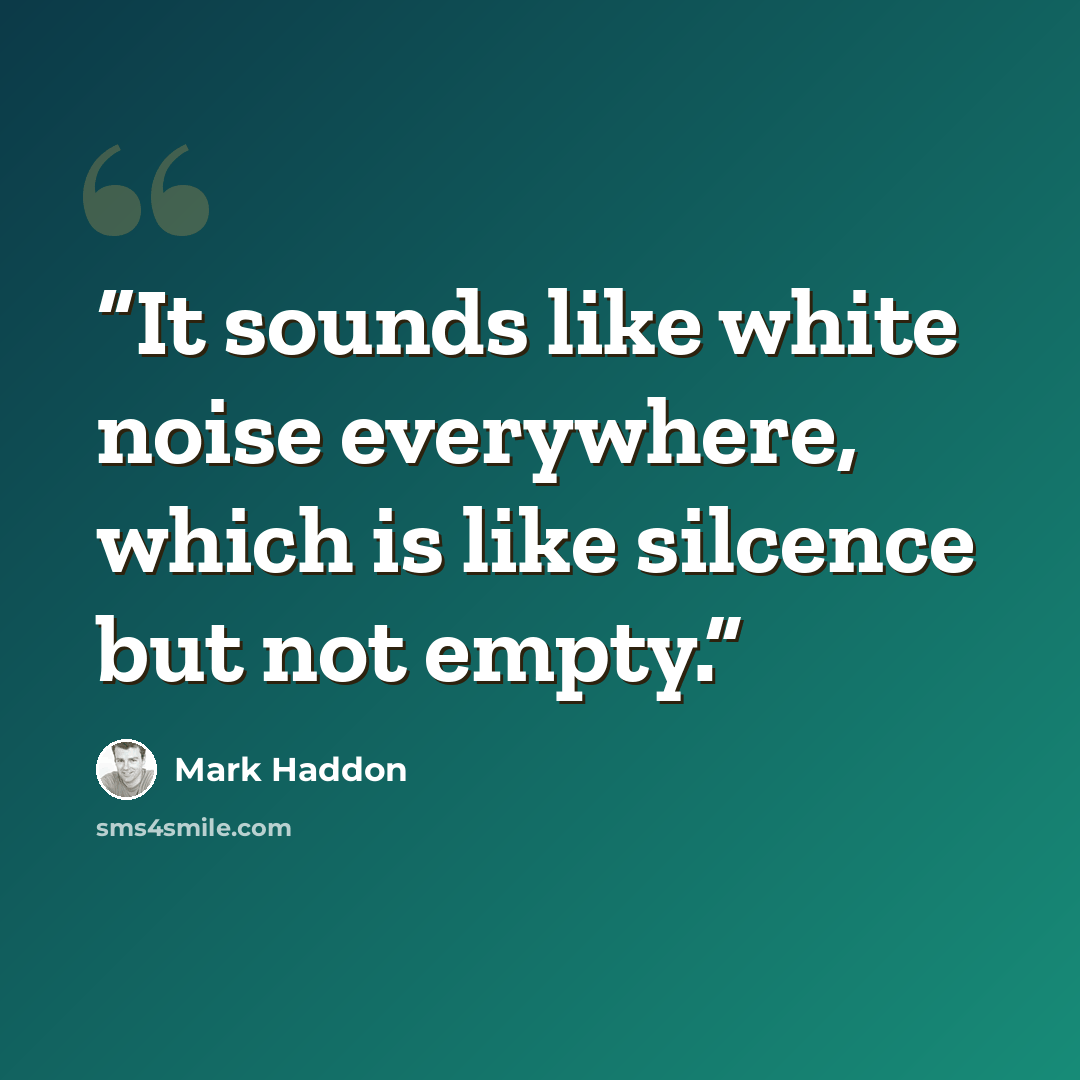 “It sounds like white noise everywhere, which is like silcence but not empty.” quote by Mark Haddon