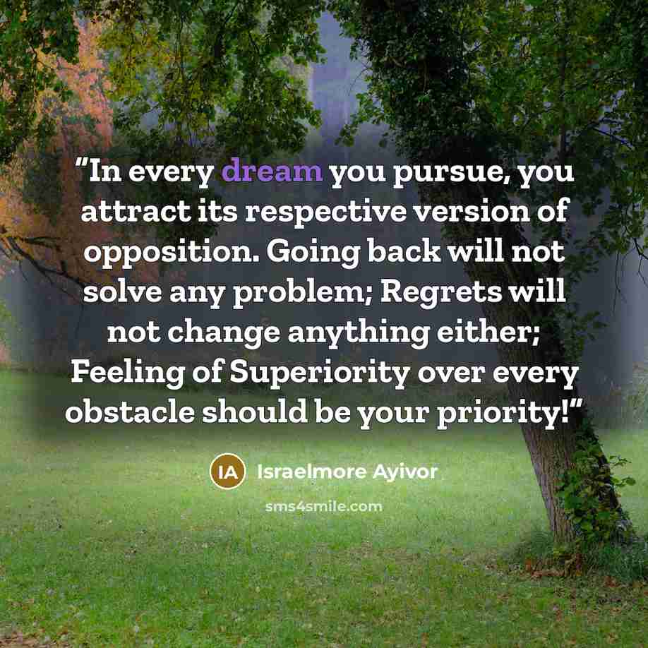 “In every dream you pursue, you attract its respective version of opposition. Going back will not solve any problem; Regrets will not change anything either; Feeling of Superiority over every obstacle should be your priority!” quote by Israelmore Ayivor