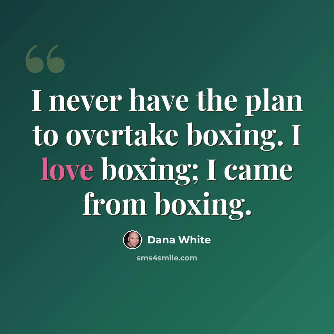 “I never have the plan to overtake boxing. I love boxing; I came from boxing.” quote by Dana White