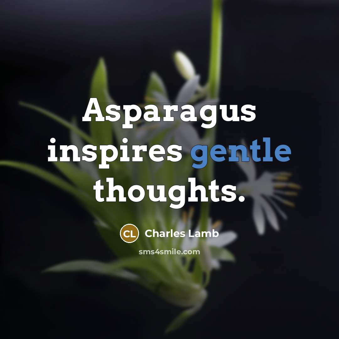 “Asparagus inspires gentle thoughts.” quote by Charles Lamb