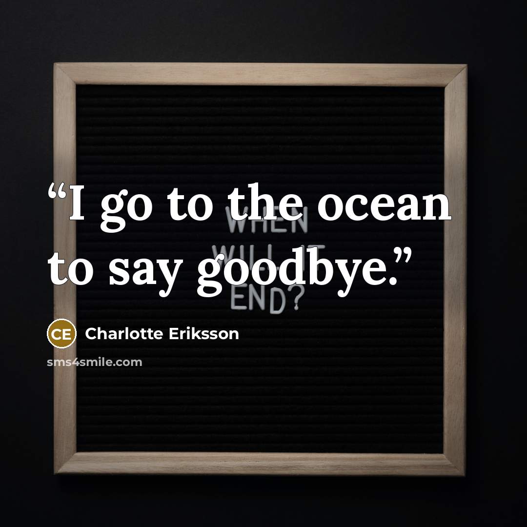 “I go to the ocean to say goodbye.” quote by Charlotte Eriksson
