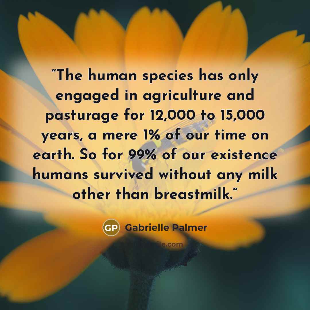 “The human species has only engaged in agriculture and pasturage for 12,000 to 15,000 years, a mere 1% of our time on earth. So for 99% of our existence humans survived without any milk other than breastmilk.” quote by Gabrielle Palmer