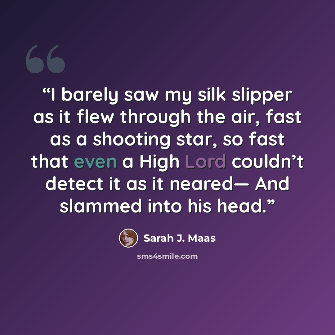 “I barely saw my silk slipper as it flew through the air, fast as a shooting star, so fast that even a High Lord couldn’t detect it as it neared— And slammed into his head.” quote by Sarah J. Maas