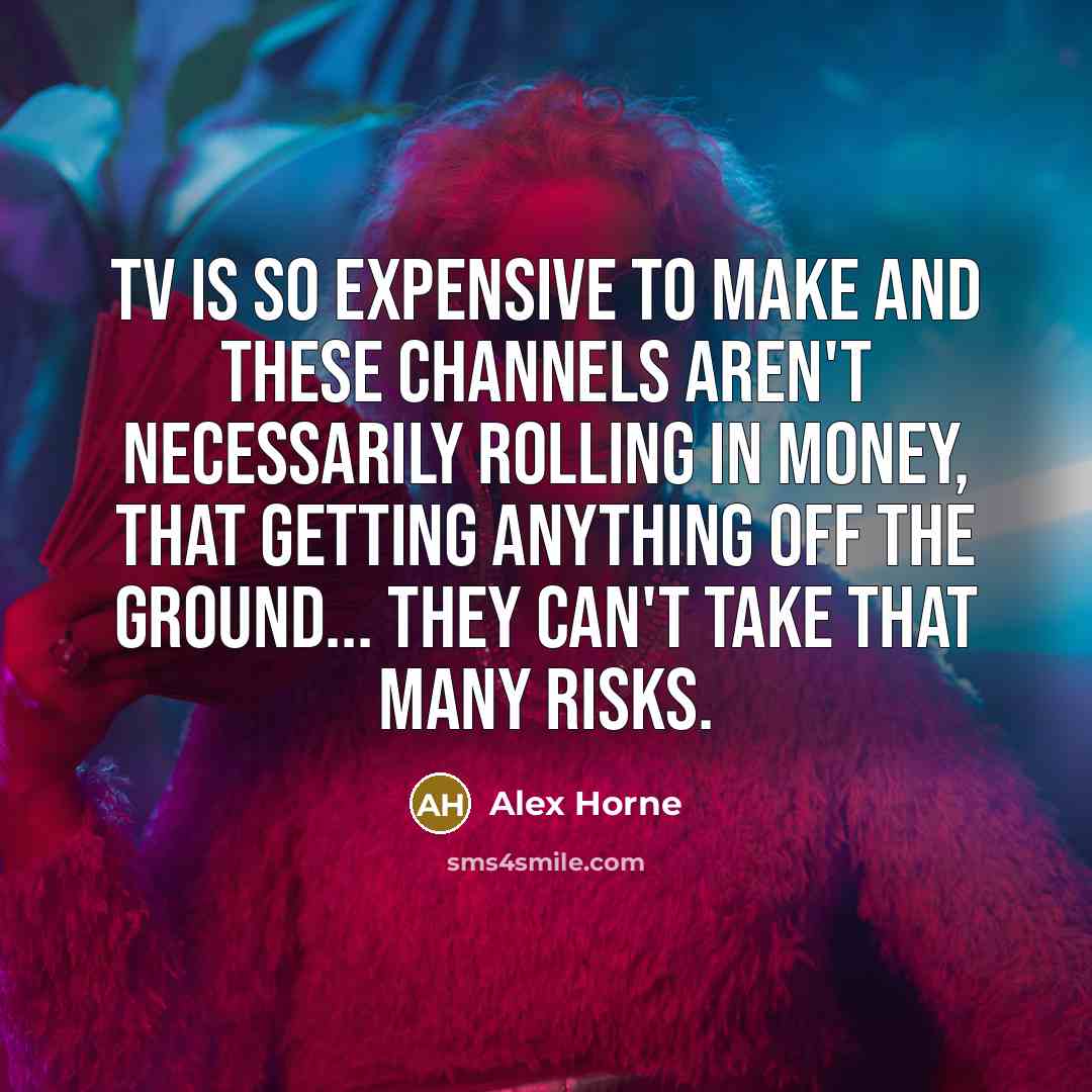 “TV is so expensive to make and these channels aren't necessarily rolling in money, that getting anything off the ground... they can't take that many risks.” quote by Alex Horne