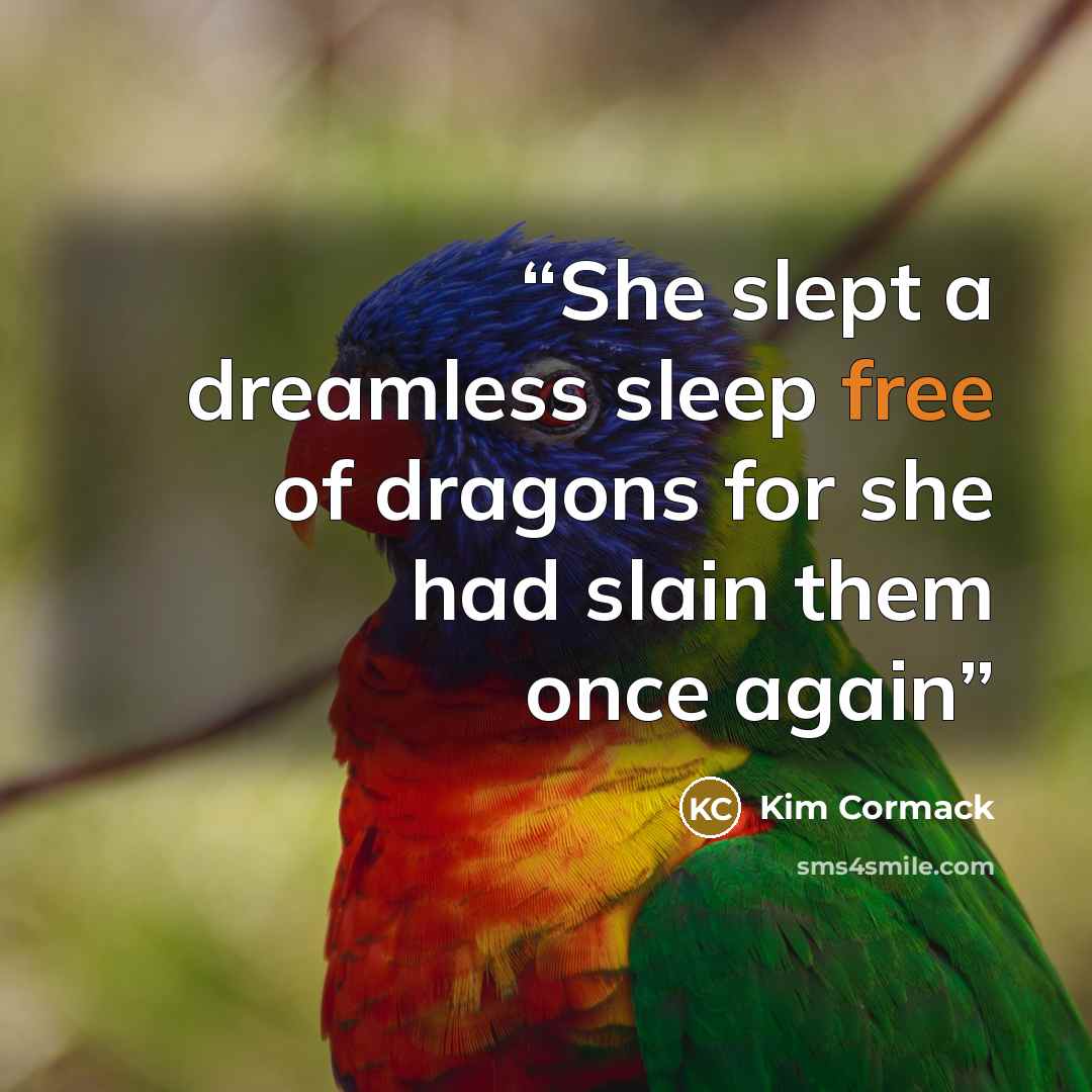“She slept a dreamless sleep free of dragons for she had slain them once again” quote by Kim Cormack