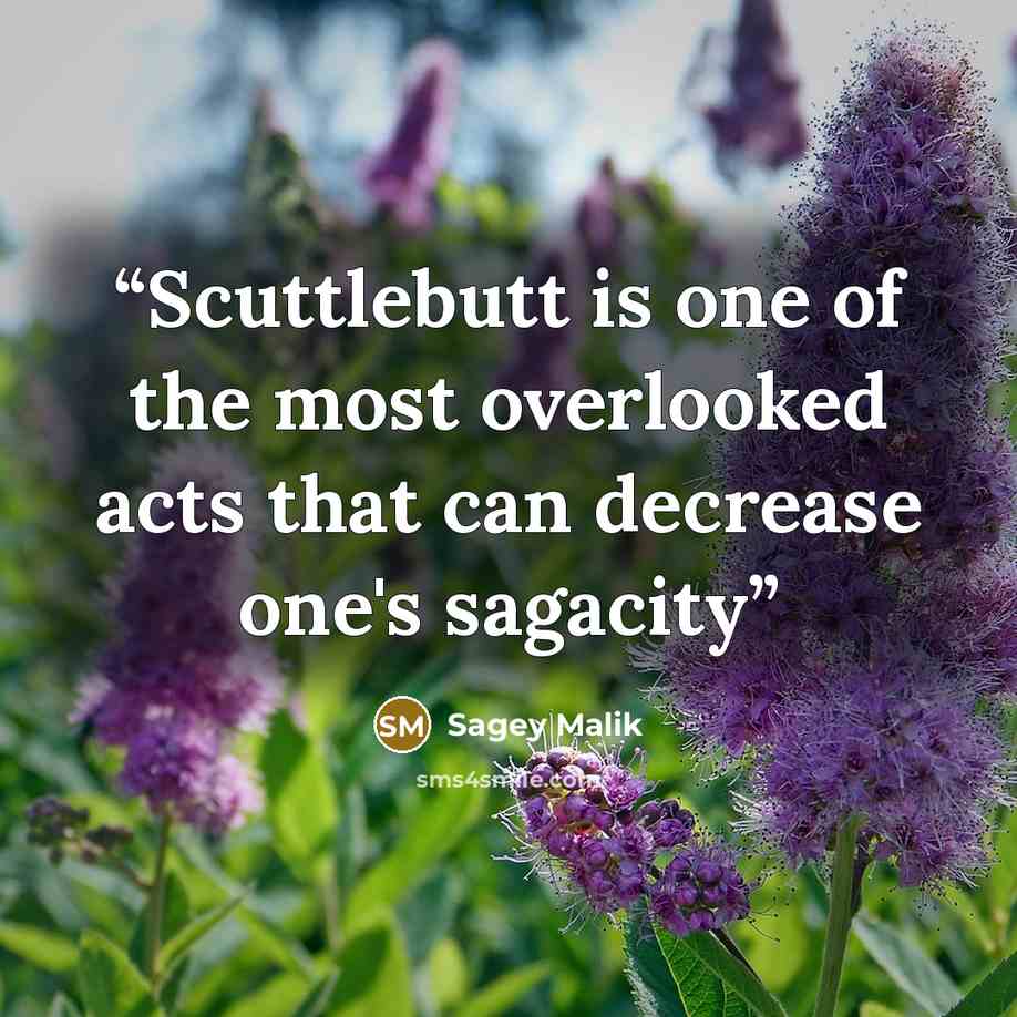 “Scuttlebutt is one of the most overlooked acts that can decrease one's sagacity” quote by Sagey Malik