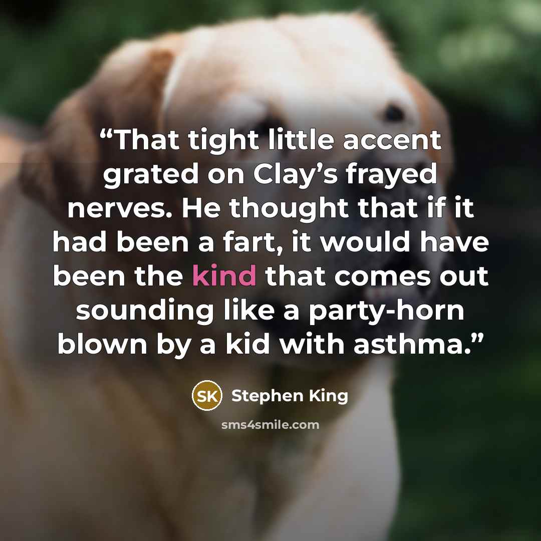 “That tight little accent grated on Clay’s frayed nerves. He thought that if it had been a fart, it would have been the kind that comes out sounding like a party-horn blown by a kid with asthma.” quote by Stephen King