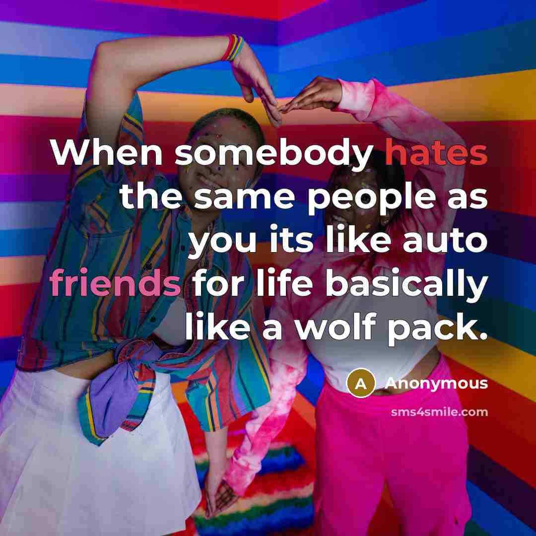 “When somebody hates the same people as you its like auto friends for life basically like a wolf pack.” quote by Anonymous