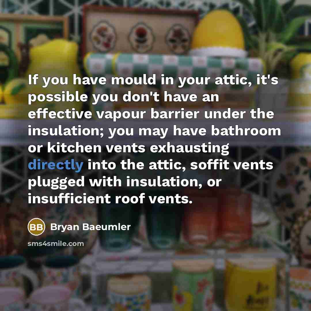 “If you have mould in your attic, it's possible you don't have an effective vapour barrier under the insulation; you may have bathroom or kitchen vents exhausting directly into the attic, soffit vents plugged with insulation, or insufficient roof vents.” quote by Bryan Baeumler