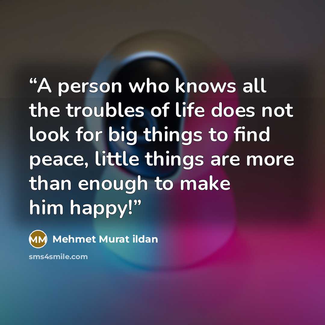 “A person who knows all the troubles of life does not look for big things to find peace, little things are more than enough to make him happy!” quote by Mehmet Murat ildan