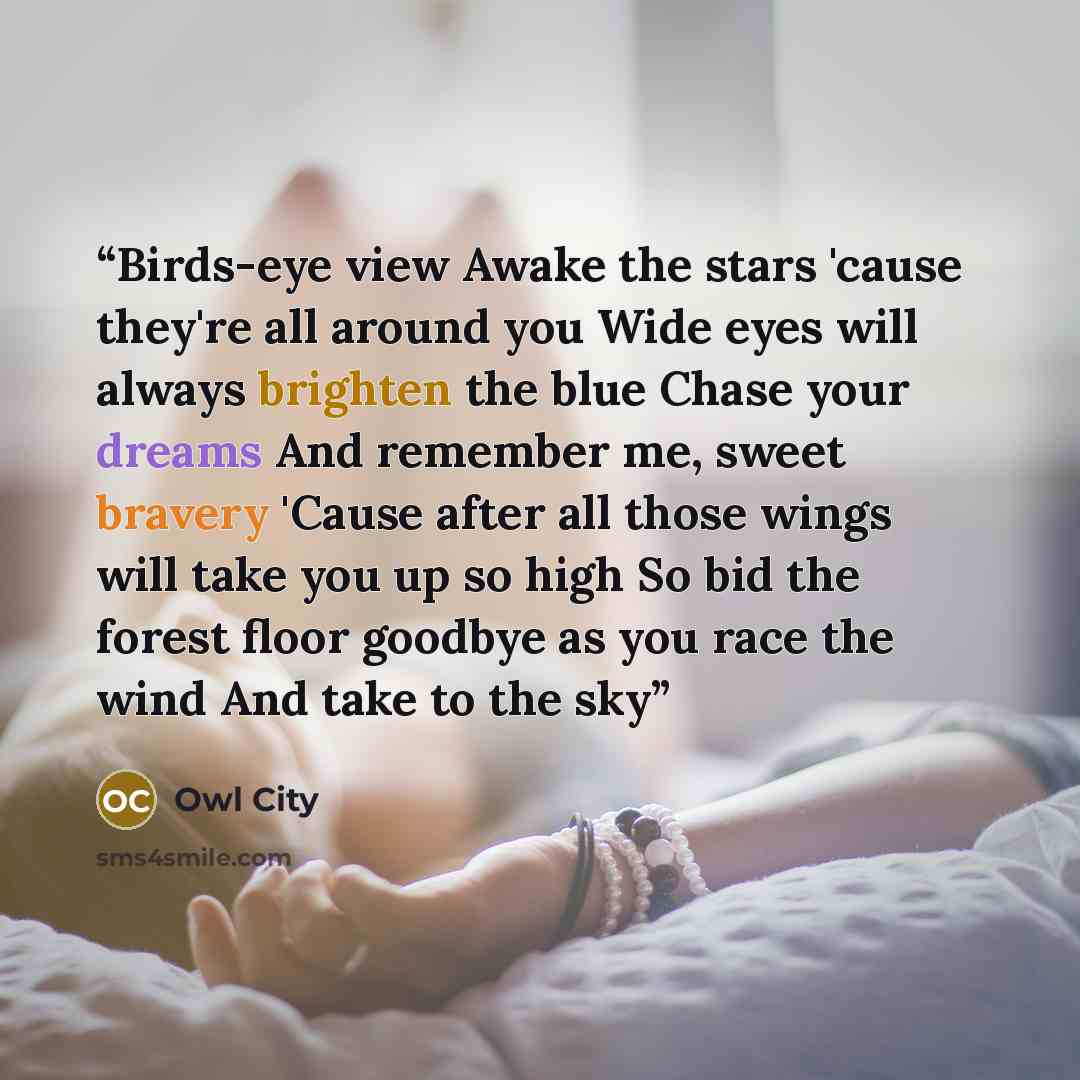 “Birds-eye view Awake the stars 'cause they're all around you Wide eyes will always brighten the blue Chase your dreams And remember me, sweet bravery 'Cause after all those wings will take you up so high So bid the forest floor goodbye as you race the wind And take to the sky” quote by Owl City