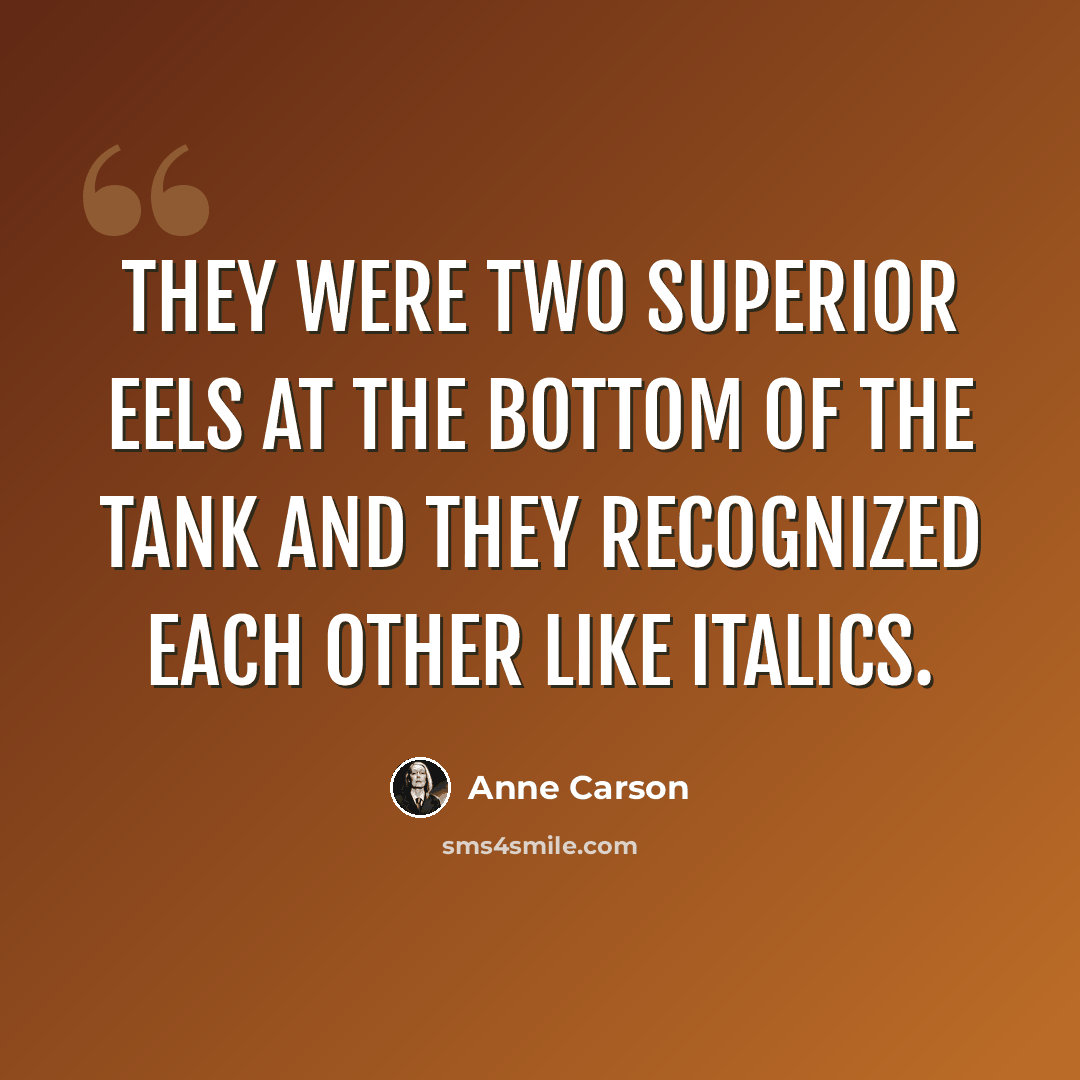 “They were two superior eels at the bottom of the tank and they recognized each other like italics.” quote by Anne Carson
