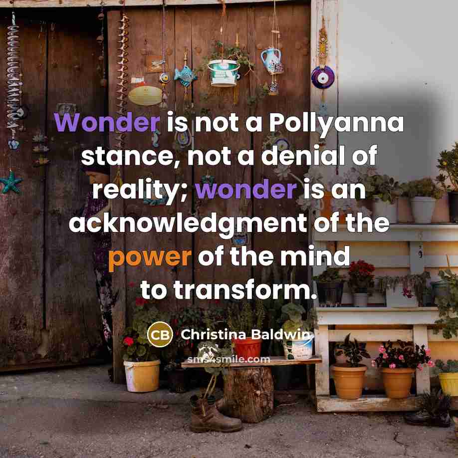 “Wonder is not a Pollyanna stance, not a denial of reality; wonder is an acknowledgment of the power of the mind to transform.” quote by Christina Baldwin