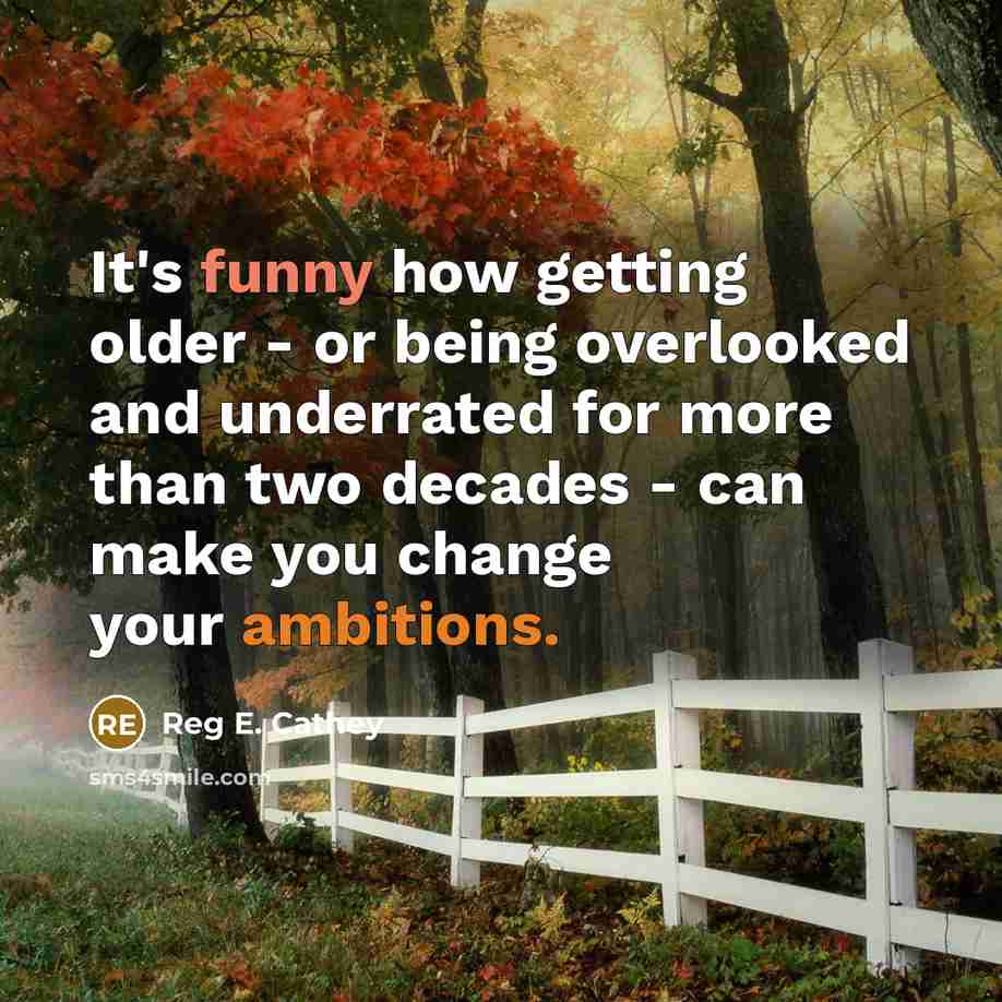 “It's funny how getting older - or being overlooked and underrated for more than two decades - can make you change your ambitions.” quote by Reg E. Cathey