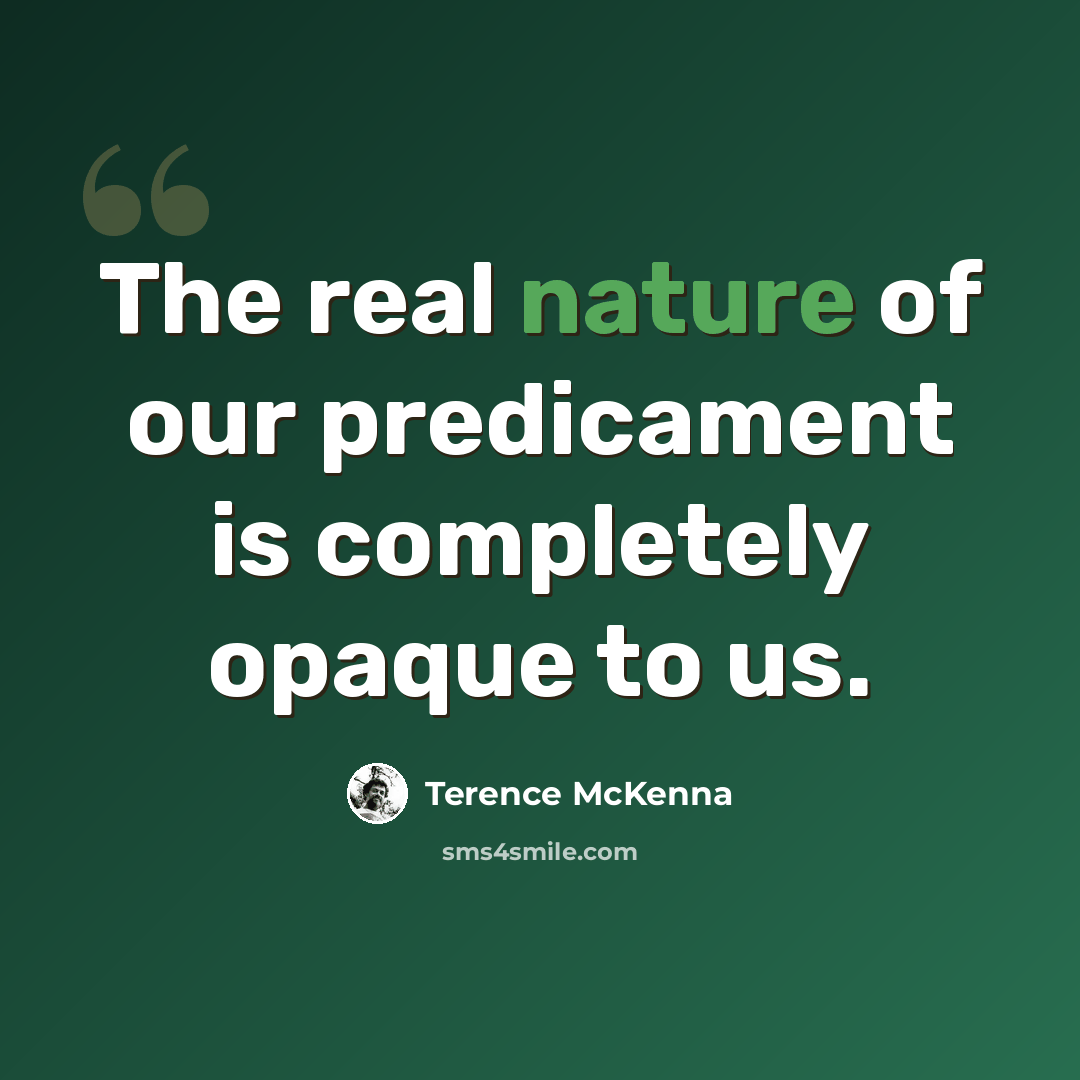 “The real nature of our predicament is completely opaque to us.” quote by Terence McKenna