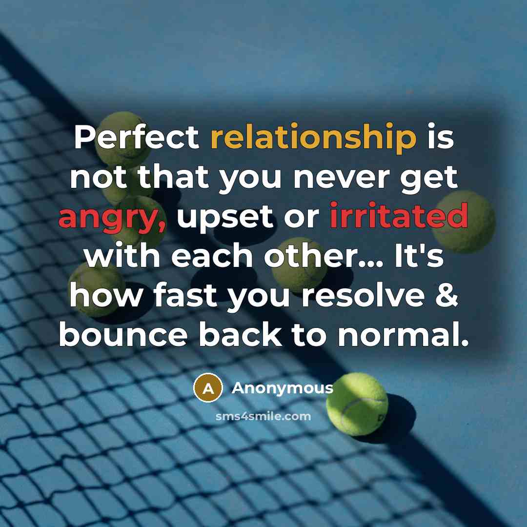 “Perfect relationship is not that you never get angry, upset or irritated with each other... It's how fast you resolve & bounce back to normal.” quote by Anonymous