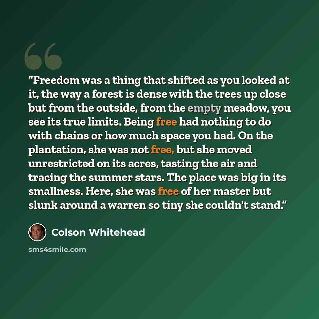 “Freedom was a thing that shifted as you looked at it, the way a forest is dense with the trees up close but from the outside, from the empty meadow, you see its true limits. Being free had nothing to do with chains or how much space you had. On the plantation, she was not free, but she moved…” quote by Colson Whitehead