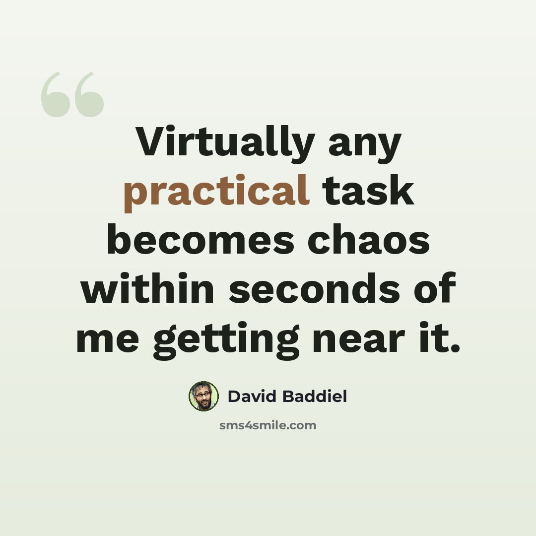 “Virtually any practical task becomes chaos within seconds of me getting near it.” quote by David Baddiel