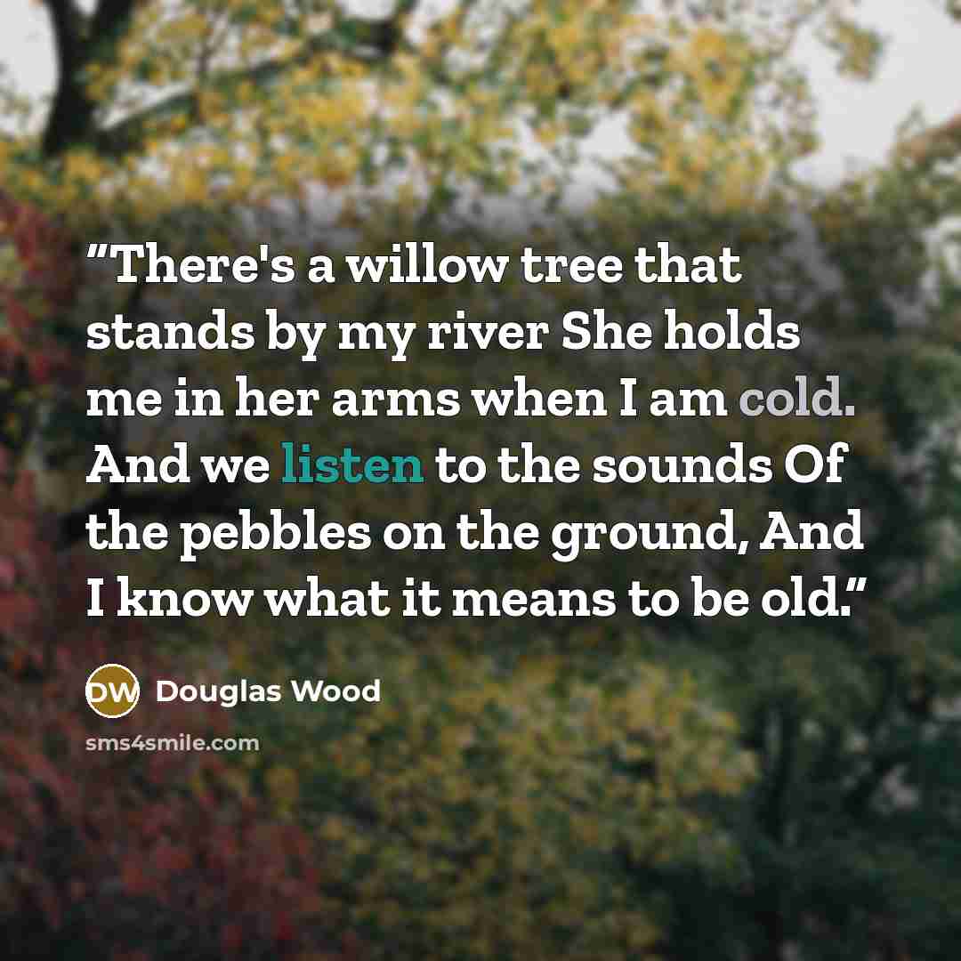 “There's a willow tree that stands by my river She holds me in her arms when I am cold. And we listen to the sounds Of the pebbles on the ground, And I know what it means to be old.” quote by Douglas Wood